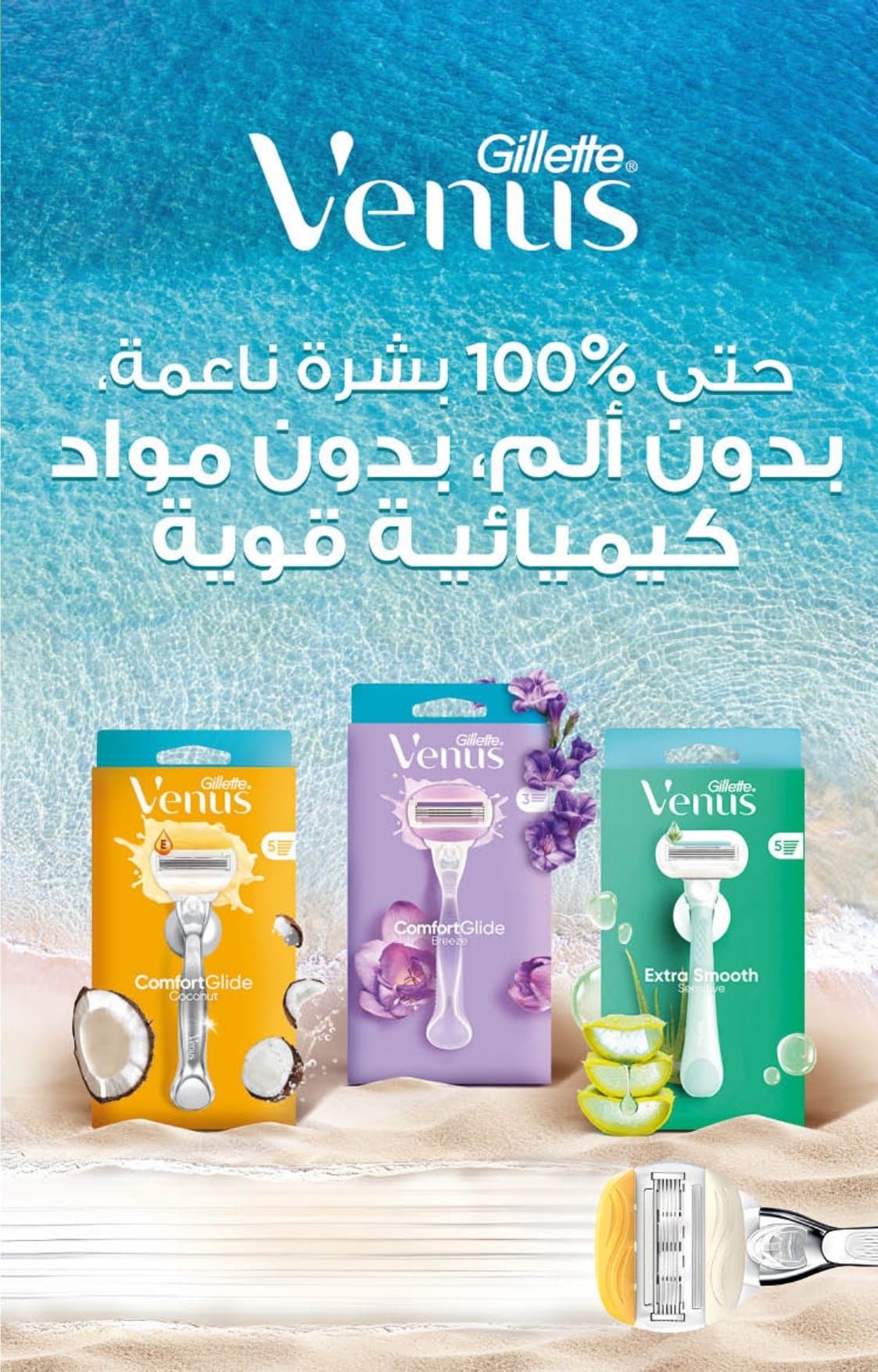 Catalogue Carrefour du 21 août au 10 septembre 2025 - page 23