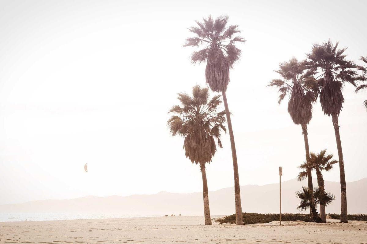 Friteuse sans huile - Offre Decathlon