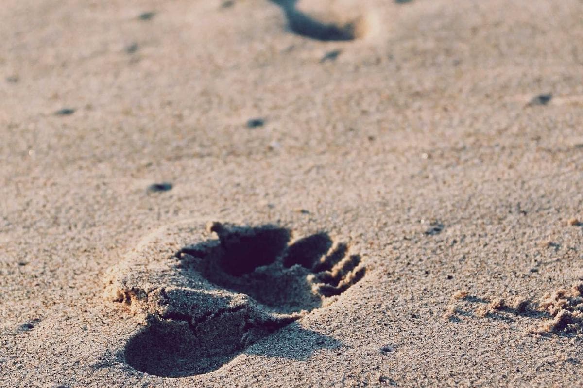 Tablette 11 pouces - Offre Aswak Assalam